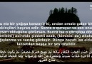 Quran v Biz - hdid 20 Facebook