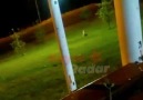 Radar Kayseri - Kurt suan 8.etapta