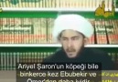 Rafızilerin Sahabe Düşmanlığı ? Rafızilerin İslam Vahdeti anla...