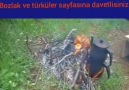 Ramazan ArtunDündarlının Koca Çayı