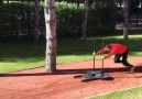 Ramil GULIYEV Training preparing for competition Reod ToGold 200m London2017