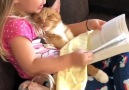 Reading the cat a bedtime story Credits to Erin Merryn