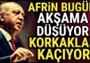 REİS AFRİN AKŞAMA DÜŞÜYOR. KORKAKLAR KAÇIYORLAR.