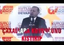 REİS BAŞ TACISIN