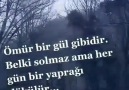 Reis - Bir yaprağı dökülür..