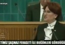 Reis bunların hepsinin aklını aldı. ...