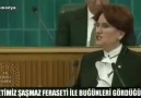 Reis bunların hepsinin aklını aldı. ...