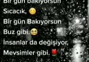 Reis - Maalesef