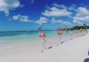 Renaissance Island Aruba