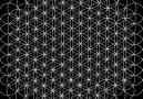 Resonance Science Foundation - The Unity of Geometry Facebook