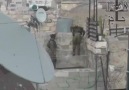 rezil olan israil askeri
