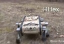 RHex engebeli arazi robotu