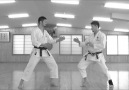 Rikiya Iimura - Ryosuke Shimizu (Honbu Dojo JKA)