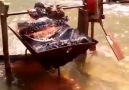 River powered spit roast! How cool is that Pure engineering