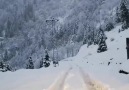 Rize - Karadeniz Müzikleri Sevenleri