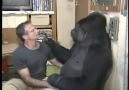 Robin Williams has a tickle fight with Gorilla!