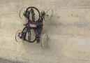 Robot climbs walls