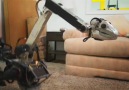 Robot dog by Boston Dynamics