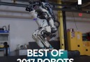 Robots made amazing advancements in 2017!