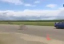 Rocket bicycle vs. Subaru STI