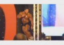 Roelly Winklaar FLIP?