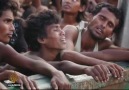 Rohingyas stranded at sea