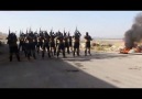 Rojava YAT (Özel Asayiş Güçleri) TC YE KAPAK PALAŞ