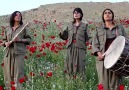 Roj baş kürdistan -