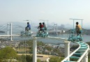 Roller coaster is pedal powered.