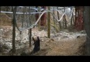 Roller Coaster Zipline - This looks NUTS!