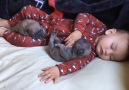 Rolling in the bed with puppies