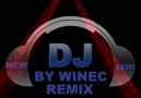 2013 ROMIX REMIX BY WINEC YAPIM