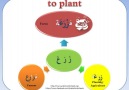 Roots of some Arabic words