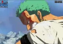 Roronoa Zoro - Shishi Sonson