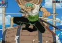 Roronoa Zoro - Ushibari