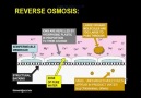 R.O water system in hemodialysis unit step by step...