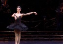 Royal Opera House - Natalia Osipova in Anthony Dowell&production of Swan Lake