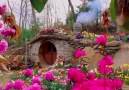 Rozina Juhsz - The Real Hobbit Village in Matamata New...