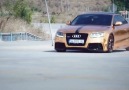 RS5 GOLD EDITION MOVIE