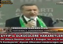 RTE'nin, Ülkücülere hakaretleri