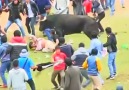 Running of the bulls event goes wrong