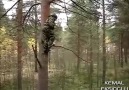 Rusların Ağaç ile İmtihanı