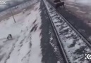 Rusyada raylara giren ineğe trenin çarpma anı böyle görüntülendi