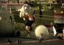 Ryan Doyle & Takla Pigeons are doing backflips together!