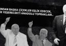 Saadet Partisi - 1969&2019&Yarım Asırlık Bir Dava Milli Görüş! Facebook