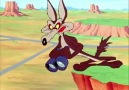 Sabah Çizgi Film Kuşağı Road Runner