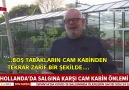 Sabah.com.tr - Hollanda restoranlarında virüs düzenlemesi Facebook