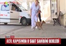 SADAKATİN BÖYLESİNİ HİÇ BİR İNSANDA ARAMA