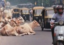 Sadece Hindistanda Görebileceğiniz 10 Garip Şey-