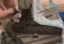 Sadhu sadhu sadhu. . - Chau Bob Maha Viro